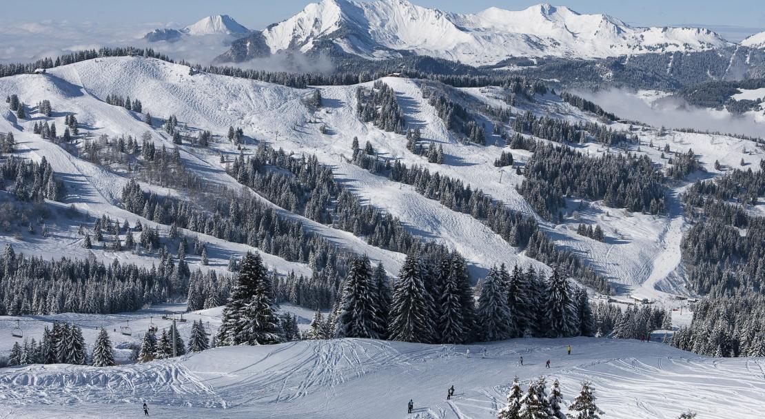 Ski Area, Les Gets, France