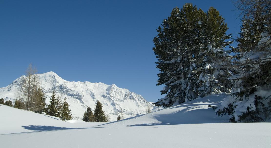 Les Coches Slopes; Copyright: Philippe GAL/OTMLC