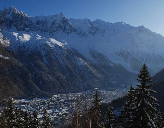 Chamonix valley; Copyright: Bannikov