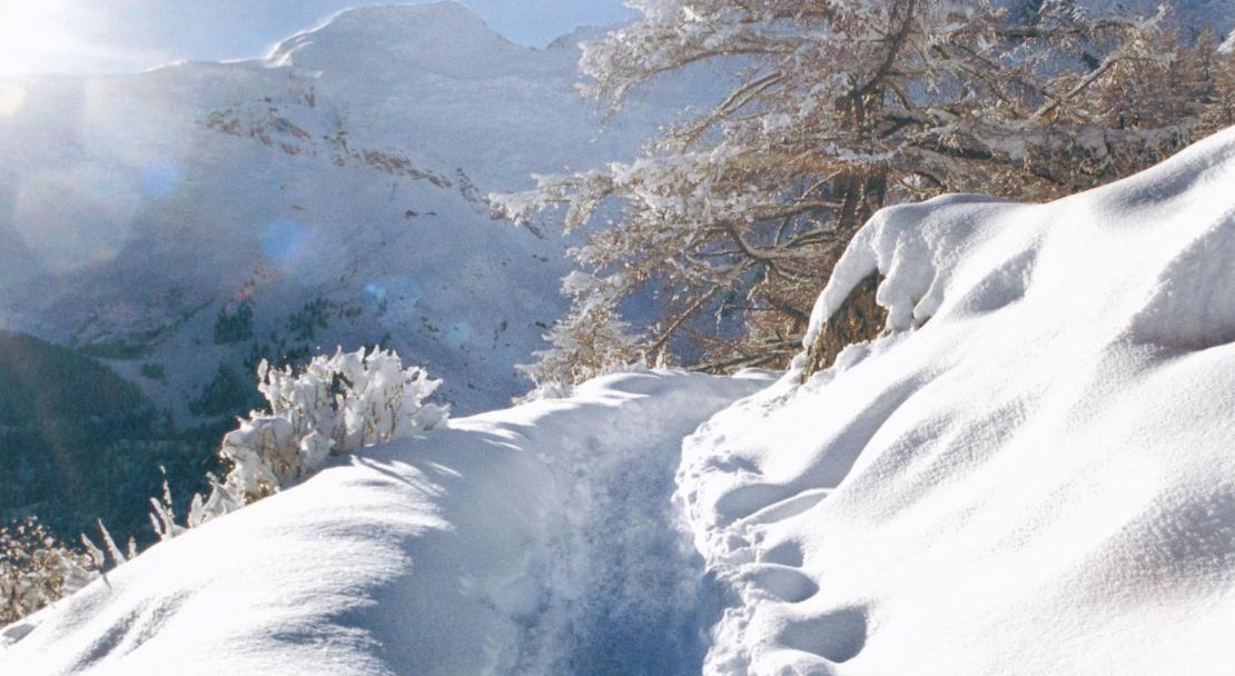Snowy path in Saas Fee