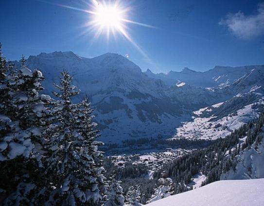 Adelboden Ski Resort