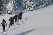 For cross country enthusiasts there is up to 39km of Avoriaz snowy terrain to be explored