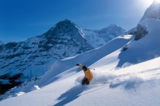 Explore Grindelwald’s outback wilderness and drift through its deep powder