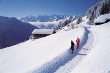 Short but enjoyable cross country ski loops- ideal for a half day activity