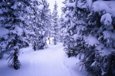 With 220km and four different cross country skiing areas Winter Park is an excellent resort for Nordic skiing.