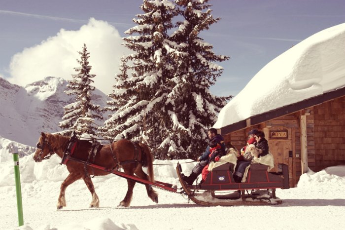 Avoriaz horse and sleigh